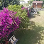 Rurales Casa Pachona