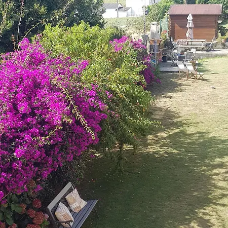 Rurales Casa Pachona