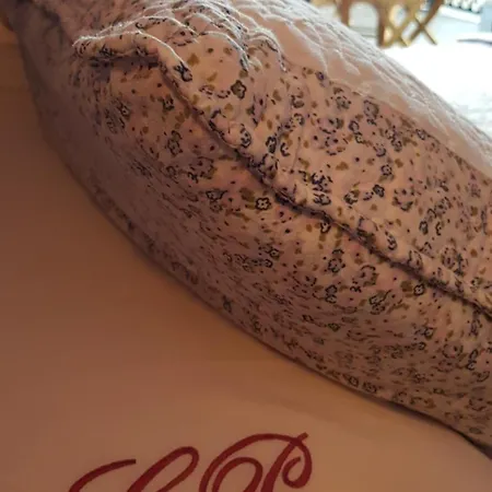 Rurales Casa Pachona Пуэрто-де-Вега