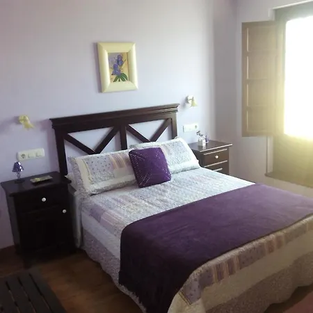 Apartment Rurales Casa Pachona *