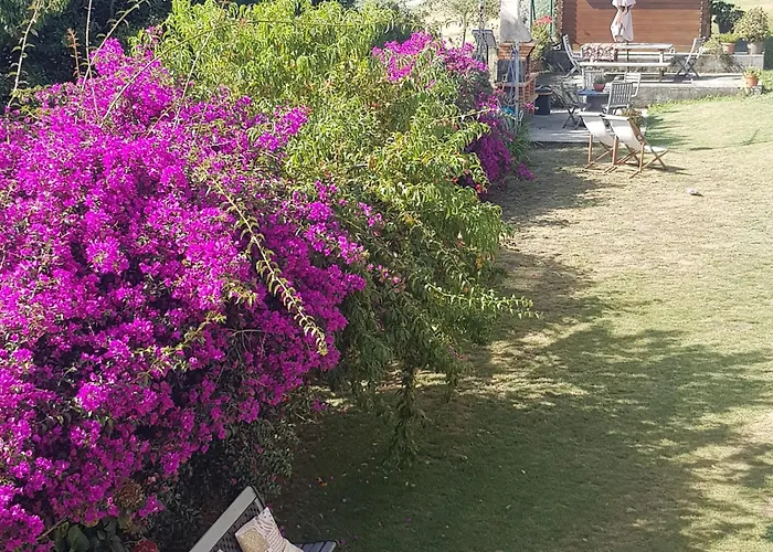 Rurales Casa Pachona